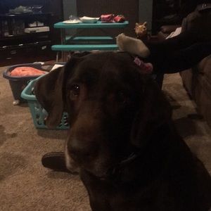 Meet your Posher, Mike